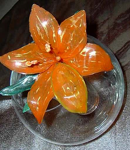 Orchid-orange.jpg